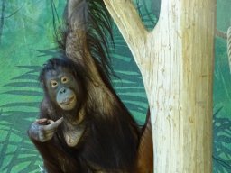 Tiergarten Schönbrunn am 03.10.2025